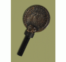 Workhorse Coin screw